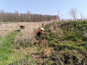IMG_20210331_130451